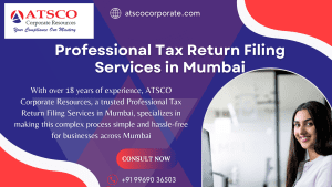 Professional Tax Return filing services Mumbai